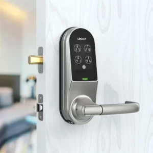 PGD679DW Lockly Guard Duo Interconnected Edition (679D)
